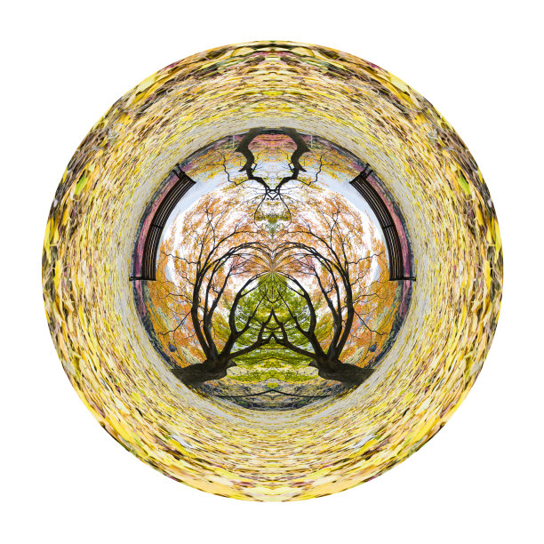 秋天的图片图片下载