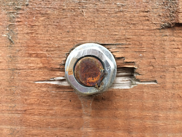 简单的照片图案的螺丝螺母在木材图片下载