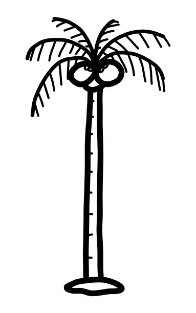 椰子树图片下载