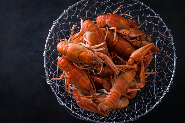 煮小龙虾与莳萝在黑暗的背景图片下载