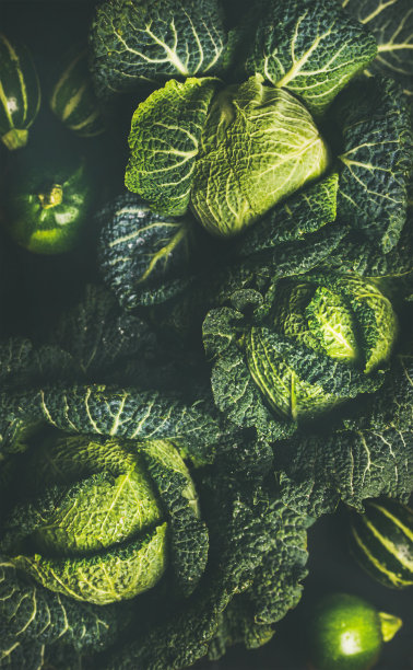 生的新鲜的生白菜的质地和背景图片下载