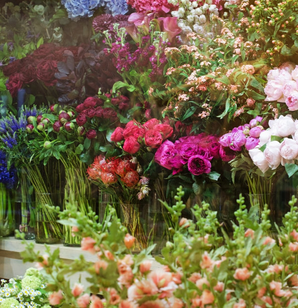 花店的橱窗图片下载