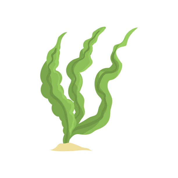 白色背景上分离的长绿藻矢量图。沙底的海草图片下载
