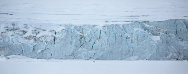 北极熊站在斯瓦尔巴群岛冰川前的惊人照片图片下载