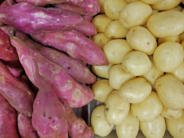 两种土豆图片下载