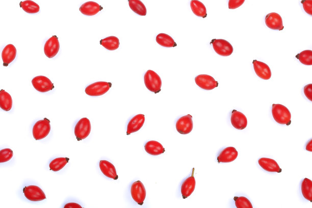 在白色背景上孤立的玫瑰果。平的模式。俯视图图片下载