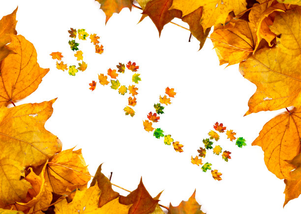 秋天的枫叶背景与字销售图片下载