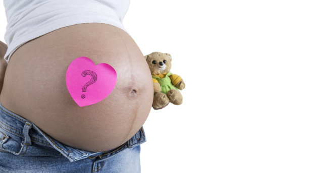 孕妇与泰迪熊和贴纸隔离白色图片下载