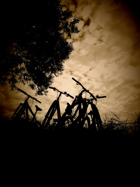 四个自行车休息图片下载