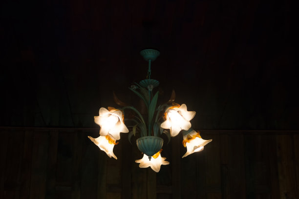 吊顶灯，光线较暗的蜗杆吊顶灯图片下载