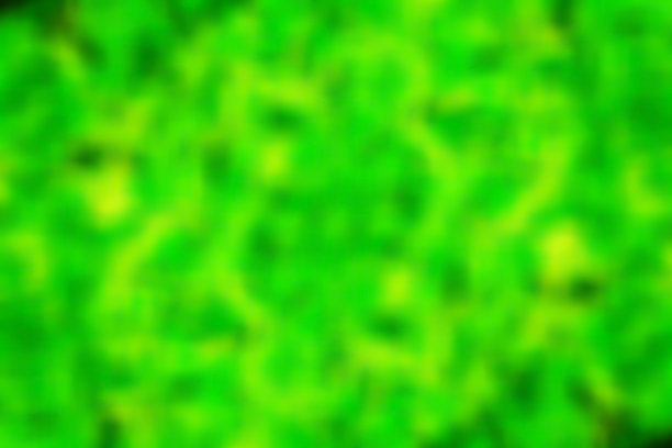 摘要绿色背景图片下载