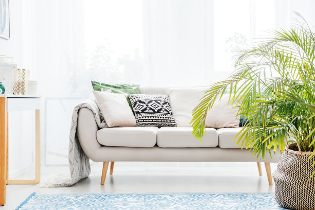 客厅装修效果图素材ID：302747616