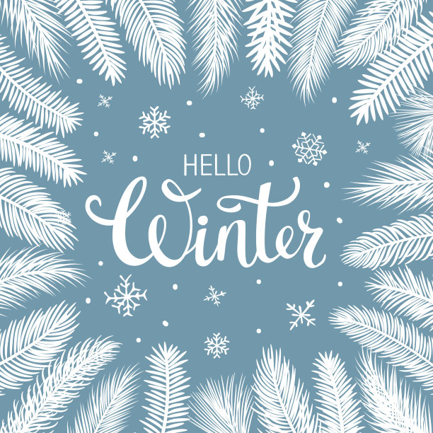 冬季框架与剪影不同的针叶树的树枝素材图片