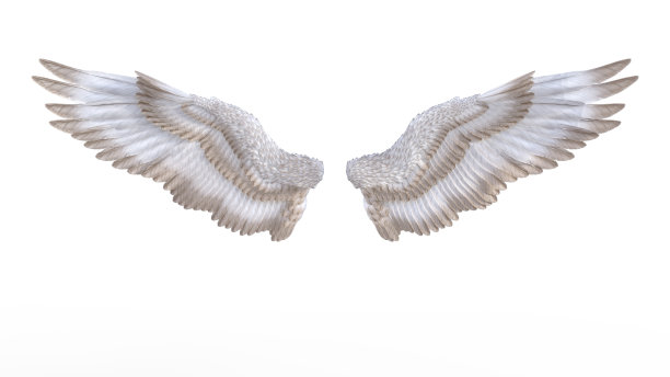天使的翅膀图片下载