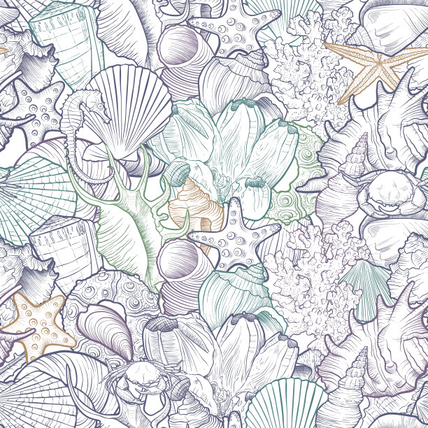 矢量无缝模式与贝壳图片下载