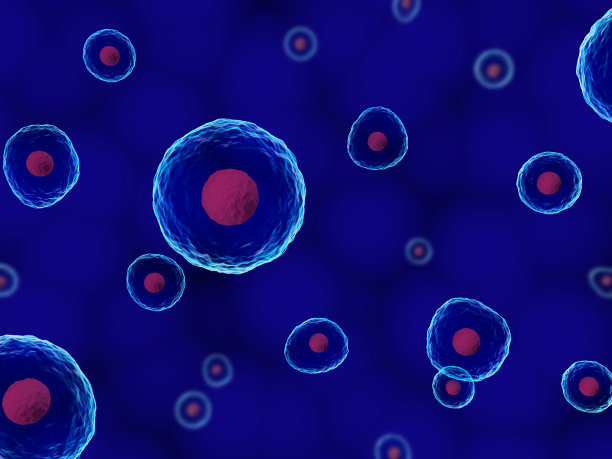 人类细胞图片下载