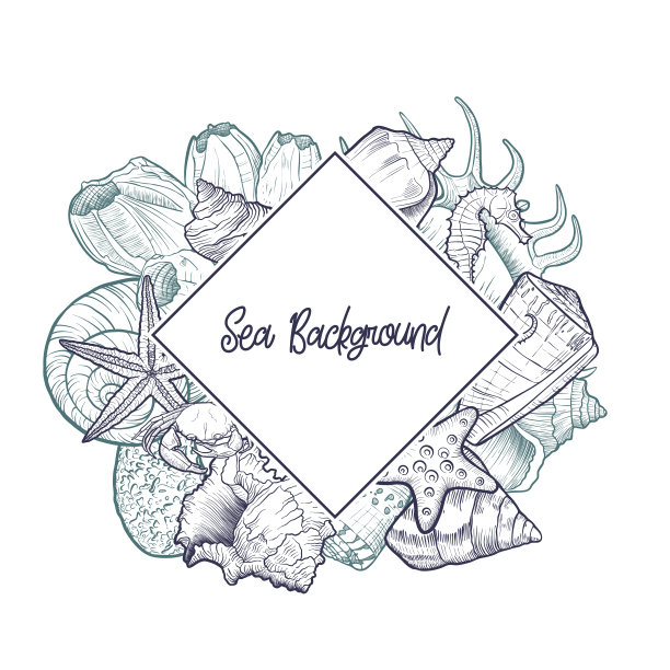 矢量背景与贝壳图片下载