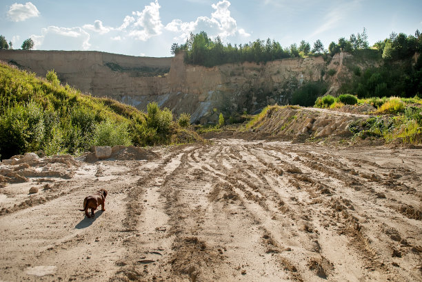 带路的景观图片下载