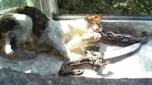 武装猫咪梳毛图片下载