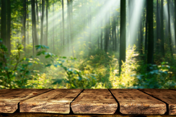 自然背景图片下载