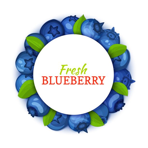 圆形的彩色框架，由美味的蓝莓水果组成。矢量插图。蓝越桔鲜多汁圈架用于食品包装、果汁、早餐、化妆品、茶排毒减肥图片下载