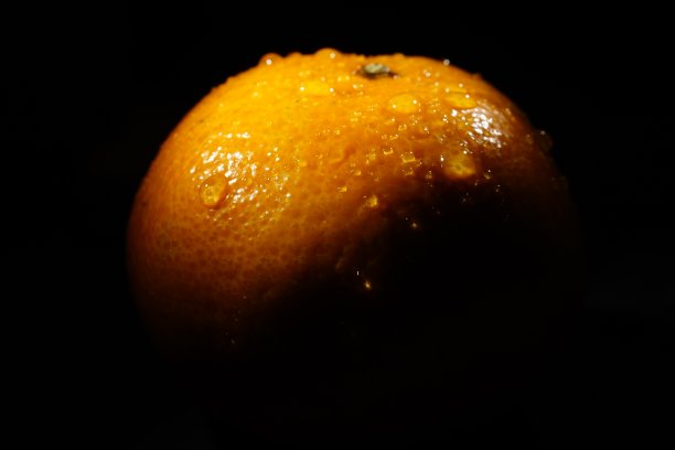 克莱门汀在黑暗中图片下载