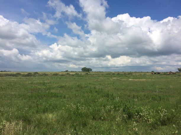 国家领域图片下载