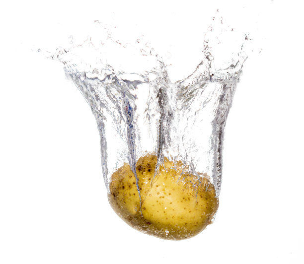 水里的土豆孤立在白色背景上图片下载