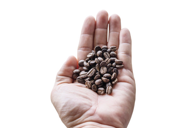 深焙咖啡在手孤立的白咖啡图片下载