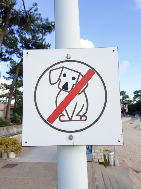 禁止狗进入度假海滩和城市沙滩的标志图片下载
