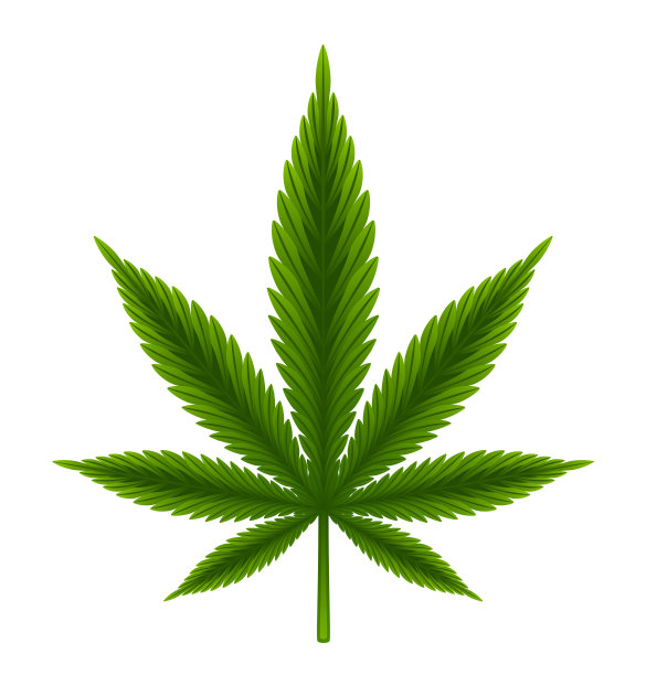绿色的叶子素材图片