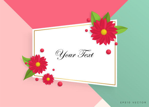 文本框与美丽的彩色花朵。图片下载