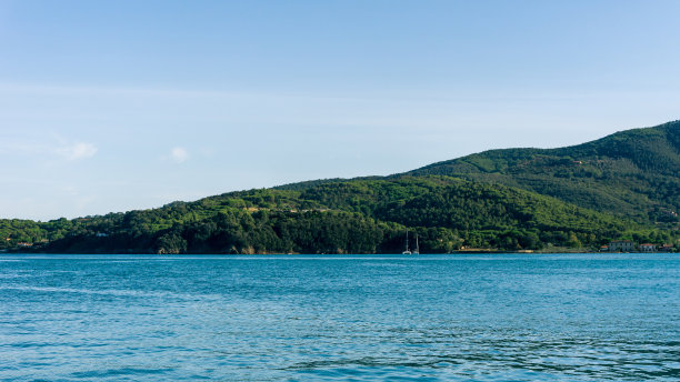 水平照片的悬崖覆盖着绿色的树木和灌木与地中海在前面。这座岩石/悬崖位于意大利托斯卡纳的厄尔巴岛上。天空几乎晴朗。图片下载