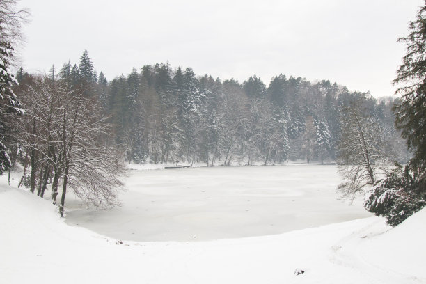 冬天，森林里的湖面上，下着雪。季节性的照片。图片下载