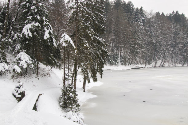 冬天，森林里的湖面上，下着雪。季节性的照片。图片下载