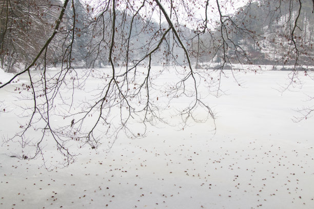 冬天，森林里的湖面上，下着雪。季节性的照片。图片下载