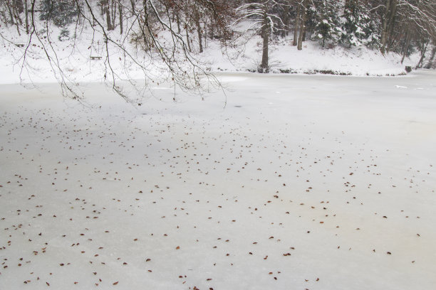 冬天，森林里的湖面上，下着雪。季节性的照片。图片下载