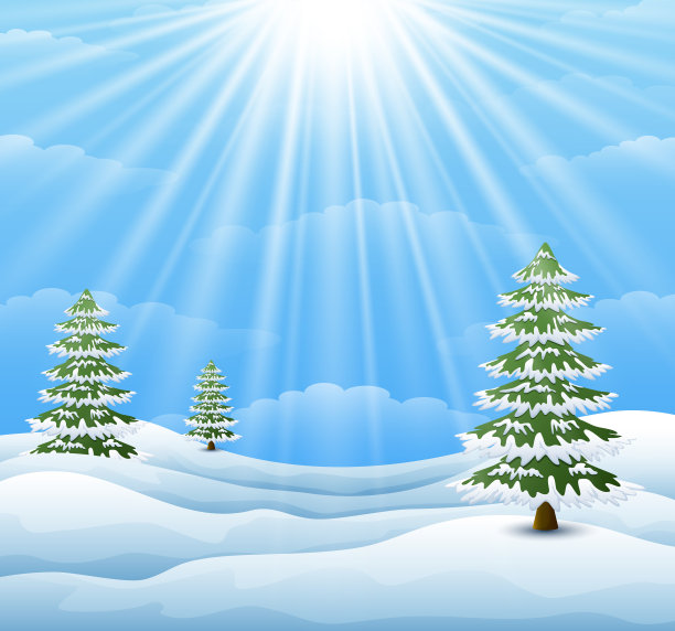冬季景观与松树和阳光的背景素材图片