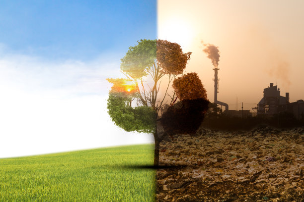 气候的概念已经改变。半死半活的树站在十字路口。世界爱和清洁能源的概念图片下载