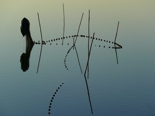 的渔网图片下载