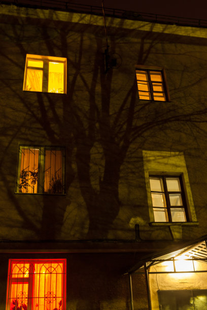 三层住宅楼夜间立面上的树木剪影。图片下载