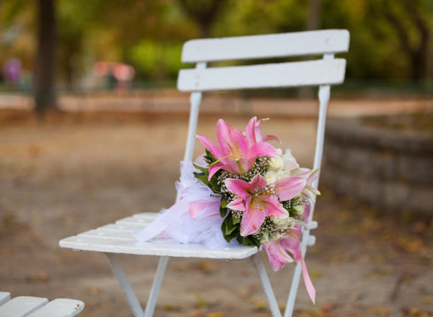 新娘花图片下载