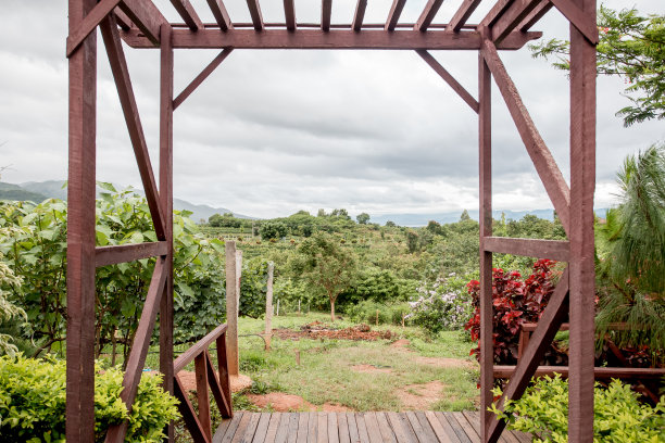 酒庄风景图片下载