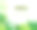 丛林背景。丛林中的树木和植物。图片下载