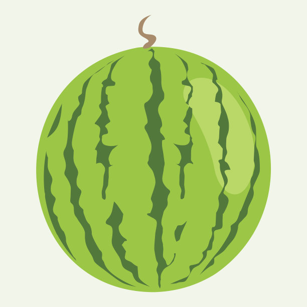 西瓜矢量图图片下载