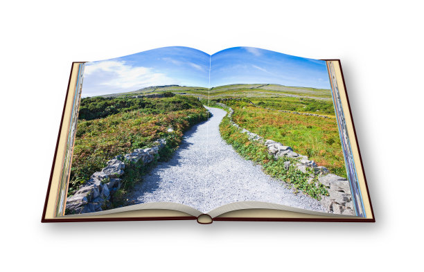 一个典型的爱尔兰平面景观在阿伦岛的3D渲染与乡村道路，石墙和草地放牧动物(爱尔兰)。我是这个3D渲染中使用的图像的版权所有人。图片下载