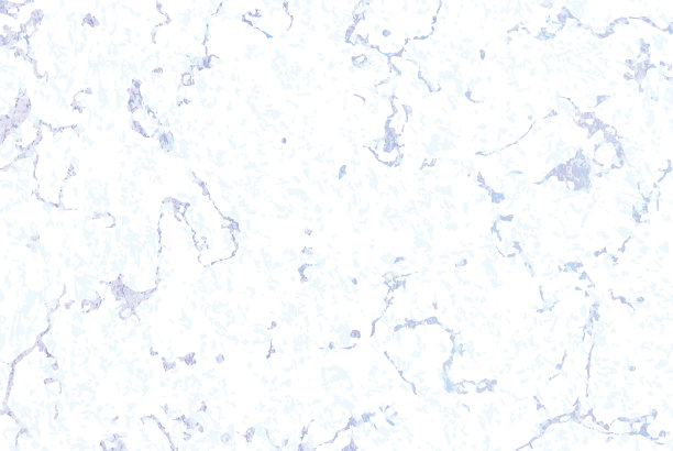 向量无缝模式。白色和灰色大理石纹理。节日的背景。时尚的设计模板图片下载