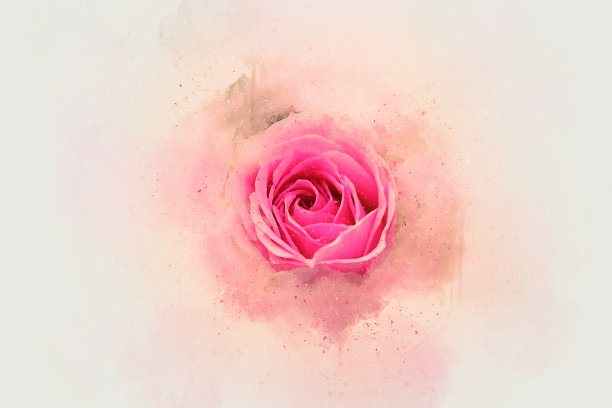 花朵绽放在五彩缤纷的水彩画背景和数字插画上，以笔触来艺术。图片下载