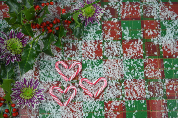 这张圣诞照片以新鲜的冬青树叶、红色浆果和冬季的花朵为背景，方格图案的心形糖果拐杖上撒满了雪图片下载