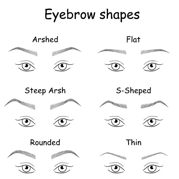 怎么画眉毛图片下载